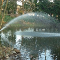 Angebote in sprudelnder Vielfalt